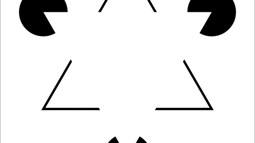 the neurons that let us see what