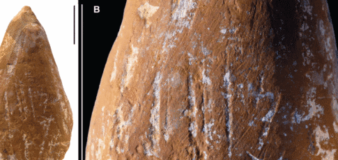 Tech News 7 wear marks suggest neanderthals made ocher crayons