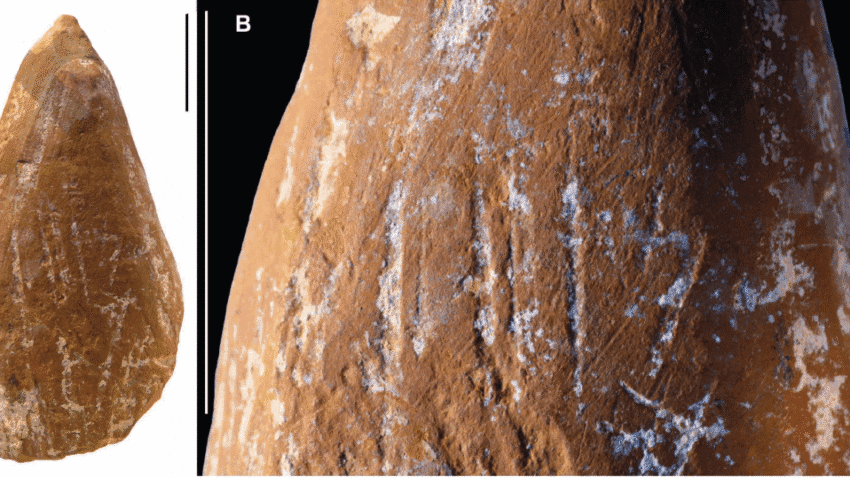 wear marks suggest neanderthals made ocher crayons
