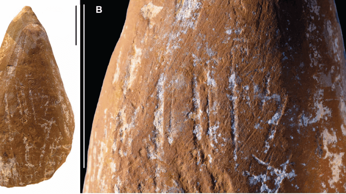 wear marks suggest neanderthals made ocher crayons