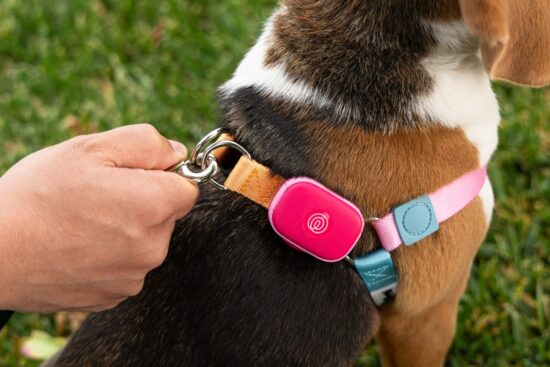 life360 ventures into pet tech with the
