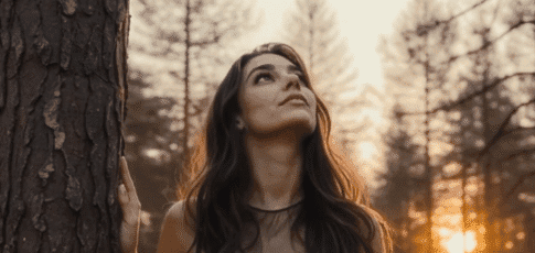 hollywood is not taking kindly to the