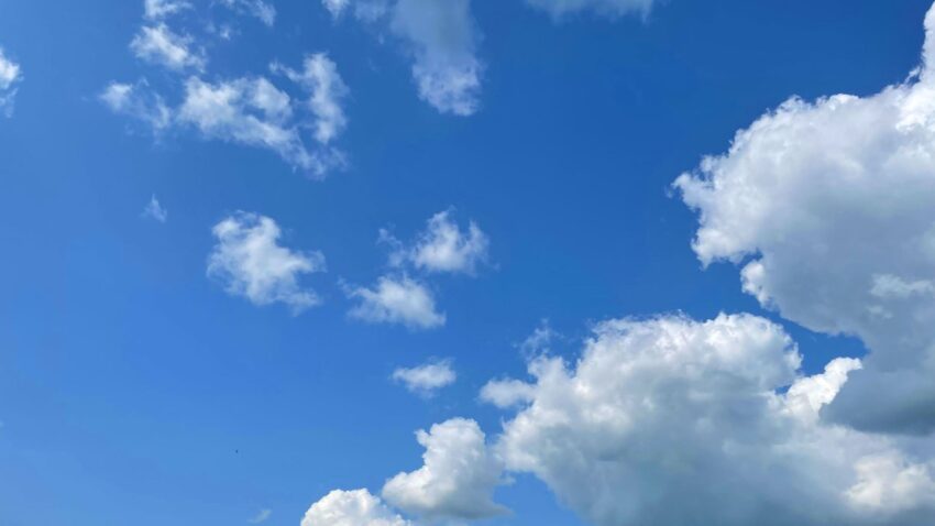waffles eat bluesky