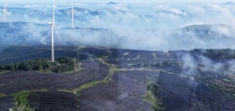 falling panel prices lead to global solar