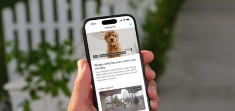 ring s new search party feature is