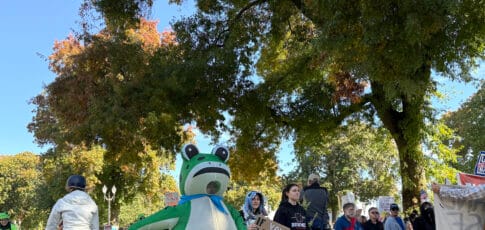 march of the frogs
