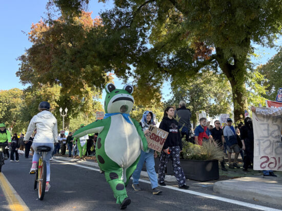 march of the frogs