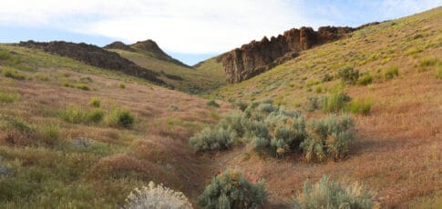 us government takes equity stake in one