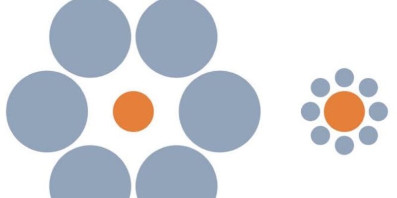 Do animals fall for optical illusions? It’s complicated. 13 do animals fall for optical illusions it
