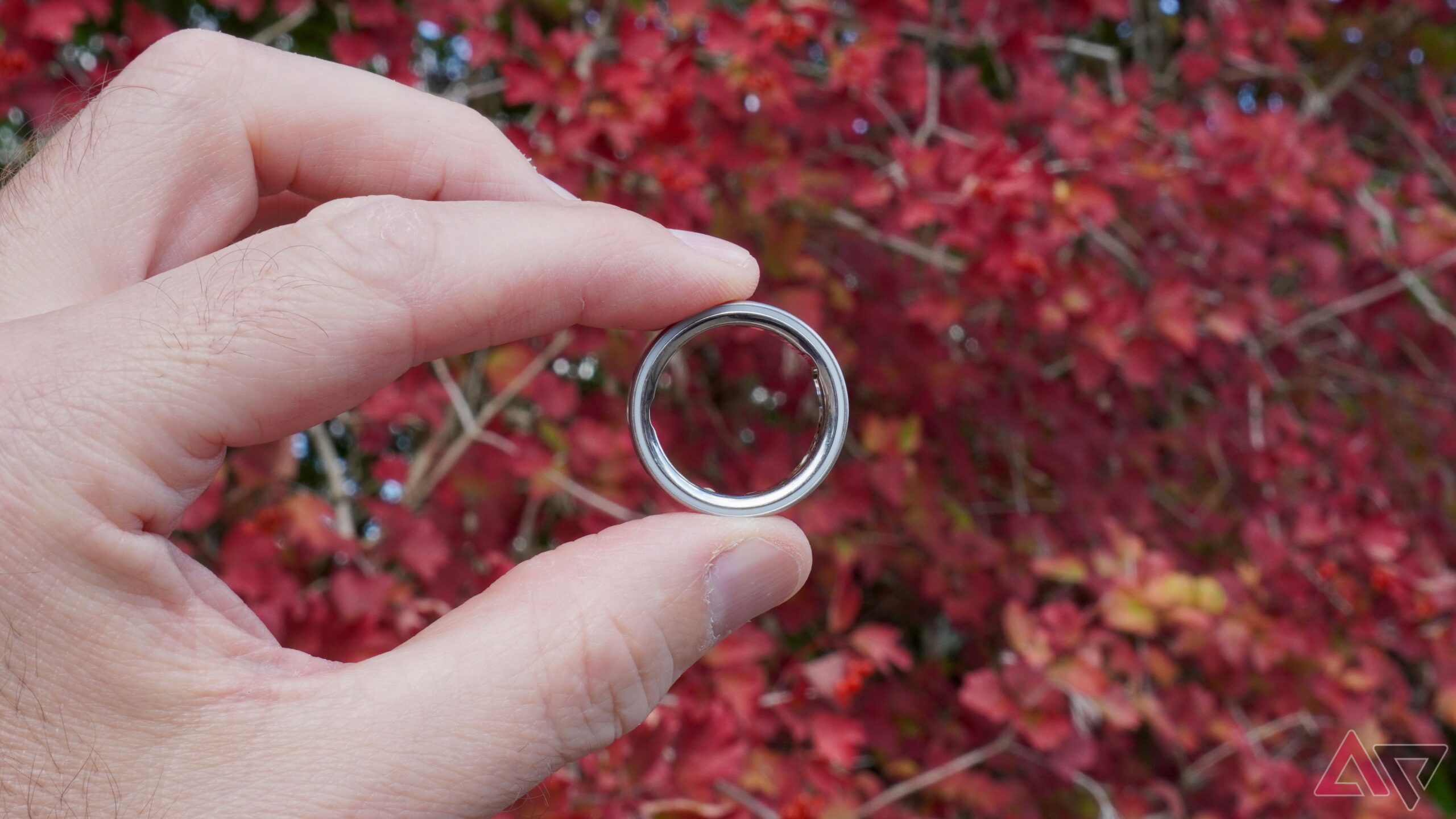 i spent a year with the oura