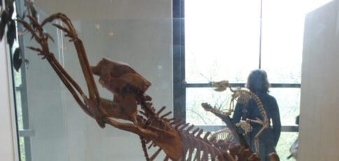 the first people to set foot in