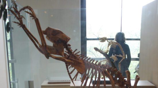 the first people to set foot in