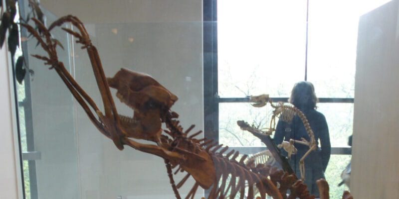 The first people to set foot in Australia were fossil hunters 10 the first people to set foot in