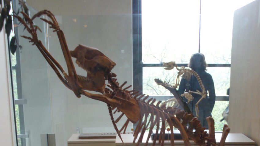 the first people to set foot in