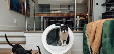 whisker s latest litter-robot uses ai to