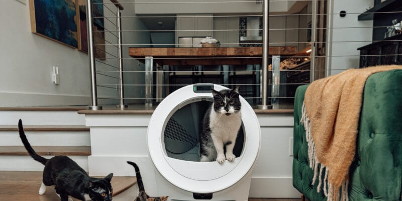 whisker s latest litter-robot uses ai to