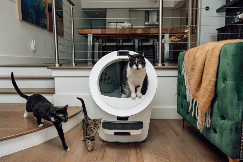 whisker s latest litter-robot uses ai to