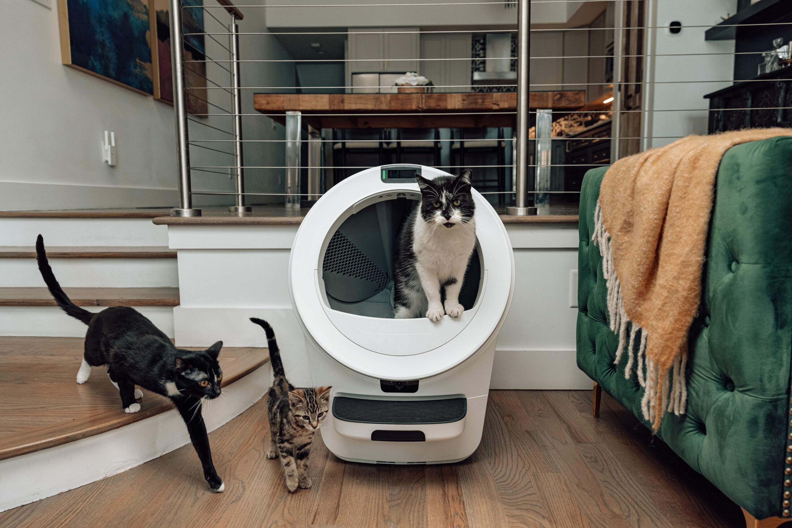 whisker s latest litter-robot uses ai to