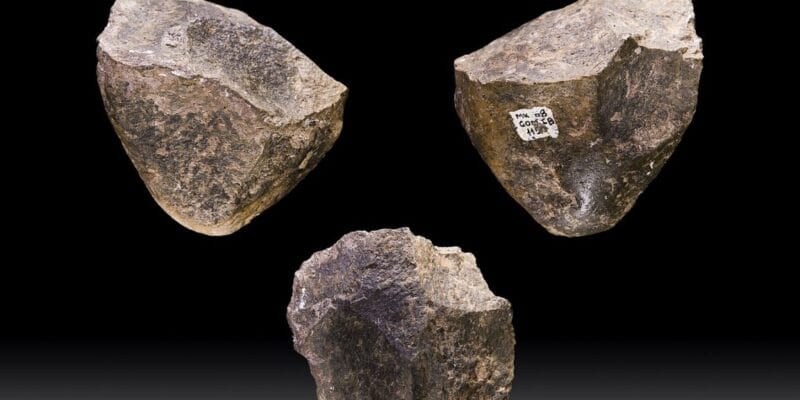 10,000 generations of hominins used the same stone tools to weather a changing world 17 10 000 generations of hominins used the