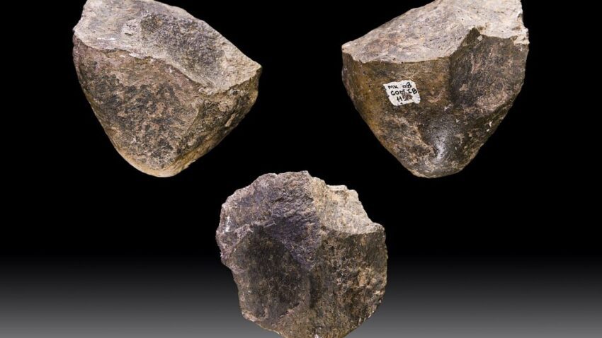 10 000 generations of hominins used the