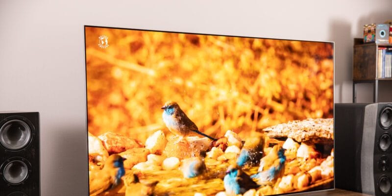 The LG G5 takes OLED performance to another level 11 the lg g5 takes oled performance to