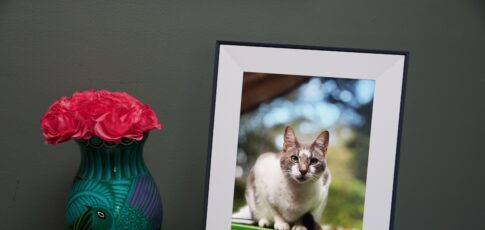 aura s latest gift-worthy digital photo frame