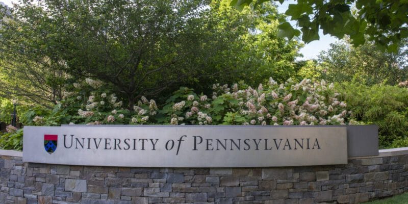 Musk and Trump both went to Penn—now hacked by someone sympathetic to their cause 19 musk and trump both went to penn-now