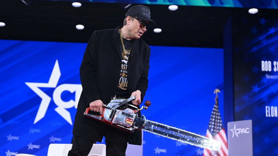 doge cut muscle not fat 26k experts