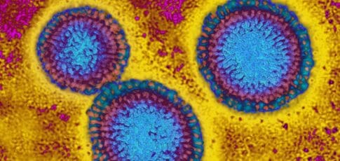 Tech News 2 this flu season looks grim as h3n2
