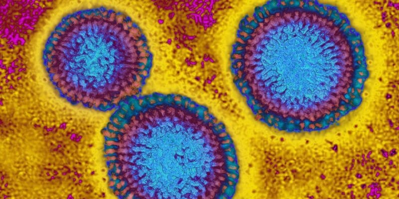 This flu season looks grim as H3N2 emerges with mutations 5 this flu season looks grim as h3n2