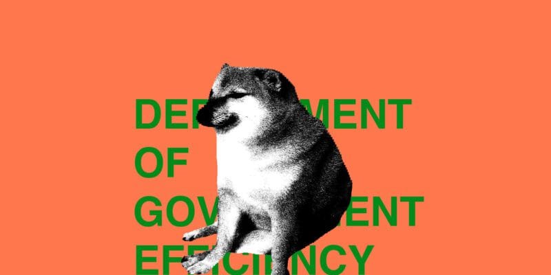 DOGE is no more, and in its wake, only chaos 17 doge is no more and in its