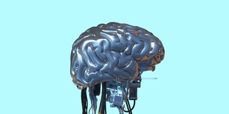what insiders anonymously think about the ai