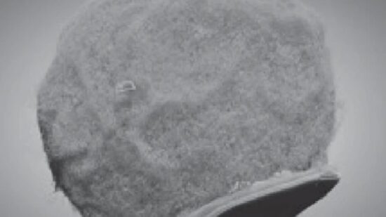 tiny chips hitch a ride on immune