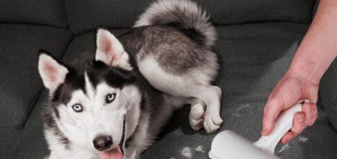 black friday deals that are most popular