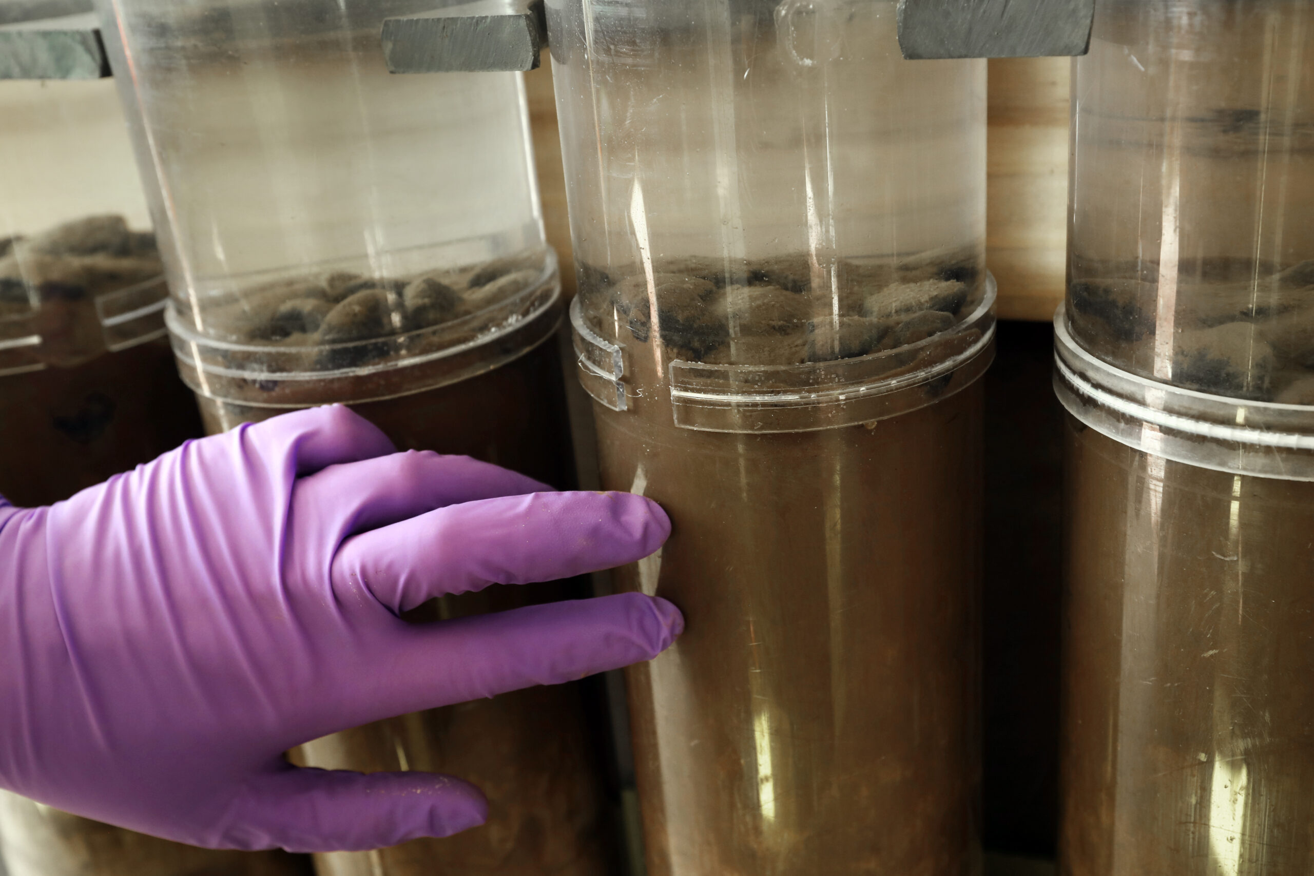 how deep-sea mining could threaten a vital