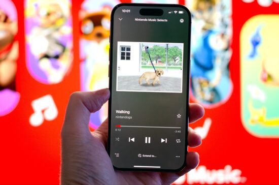 nintendo has too many apps