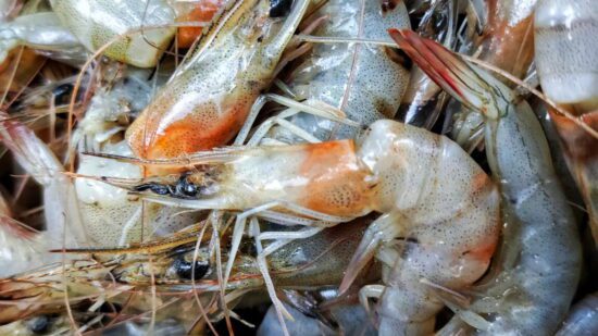 it s only a matter of time