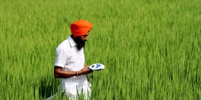 Kering-backed fund Mirova pours $30.5M into India’s Varaha for regenerative farming 10 kering-backed fund mirova pours 30 5m into