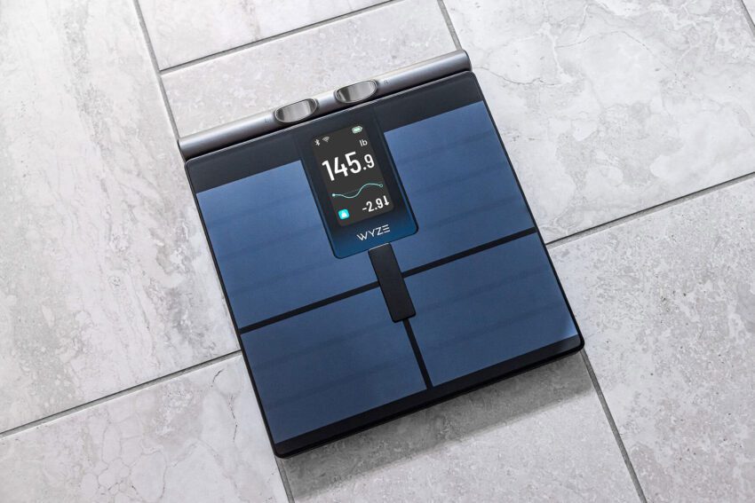 wyze s new scale measures segmented body