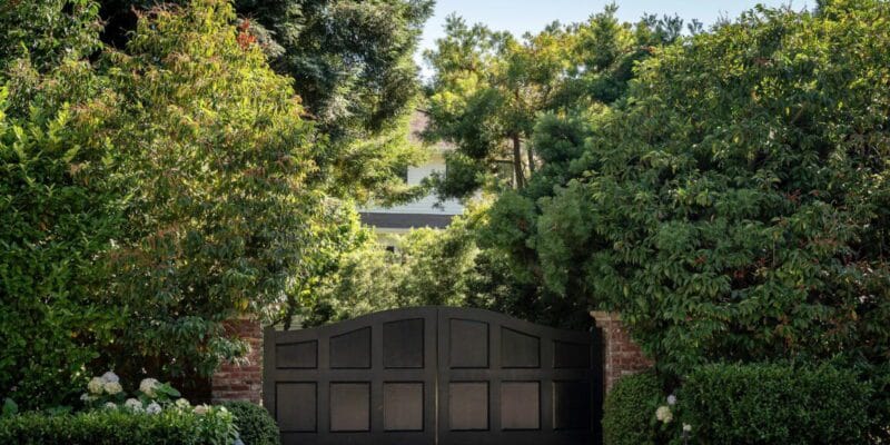 Mark Zuckerberg’s illegal school drove his neighbors crazy 2 mark zuckerberg s illegal school drove his