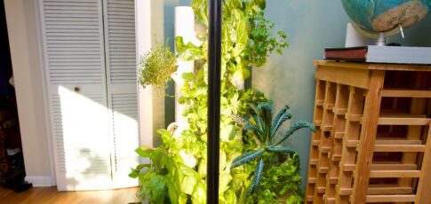 Tech News 2 this smart garden turned my black thumb