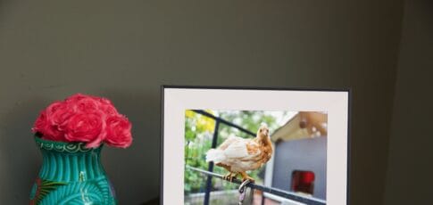 Tech News 5 these verge-approved gifts are still available for