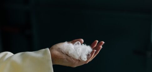 everbloom built an ai to turn chicken