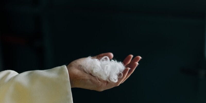 Everbloom built an AI to turn chicken feathers into cashmere 11 everbloom built an ai to turn chicken