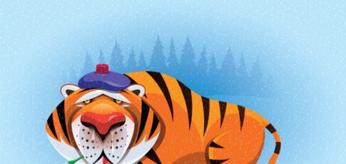 Tech News 12 tiger global plans cautious venture future with