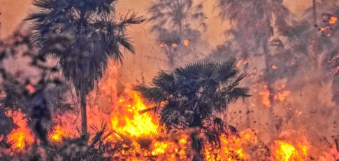 Tech News 5 brazil weakens amazon protections days after cop30