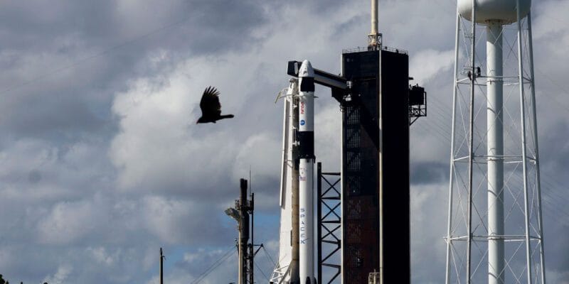 SpaceX reportedly in talks for secondary sale at $800B valuation, which would make it America’s most valuable private company 8 spacex reportedly in talks for secondary sale