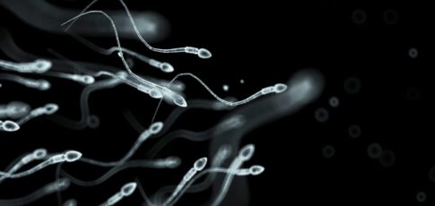 Tech News 12 sperm donor with rare cancer mutation fathered