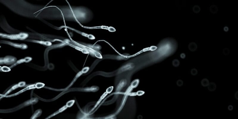 Sperm donor with rare cancer mutation fathered nearly 200 children in Europe 8 sperm donor with rare cancer mutation fathered