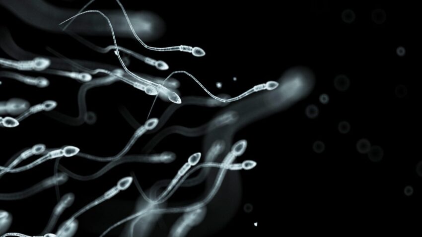 sperm donor with rare cancer mutation fathered